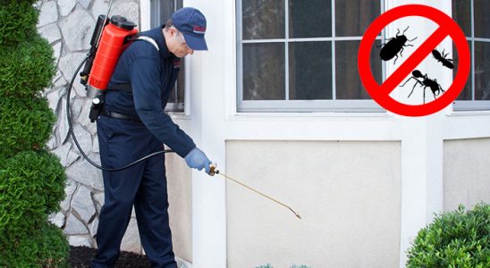 Karabağlar Akrep İlaçlama böcek ilaçlama ve haşere kontrolü — ilaclama-tr.com